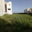 Sale purchase and rental units and plots in nagar, nipania product image