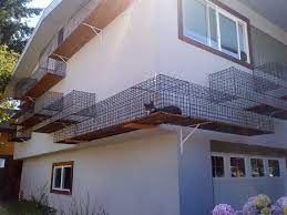 It didn't stop him, but he did consider. Cat Owner Built An Outdoor Catwalk Around His House Bored Panda