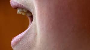 Regarding the etymology of the term adam's apple, webster's 1913 dictionary states that the term … is so called from a notion that it was caused by the. Nicht Ohne Meinen Kehlkopf Mannliche Und Weibliche Stimme Radiowissen Bayern 2 Radio Br De