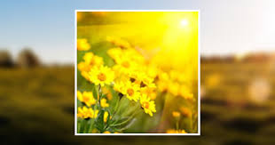 Deborah Joyce Crates Obituary January 11, 2023