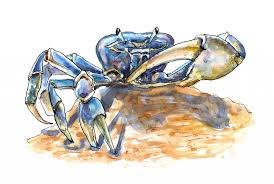 How to draw crabs in one continuous stroke? When I M Feeling Blue Doodlewash