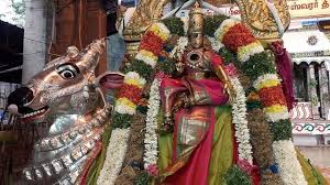 In that, swami's womb, natarajar shrine, tower etc. Madurai Meenakshi Amman Temple Home Facebook