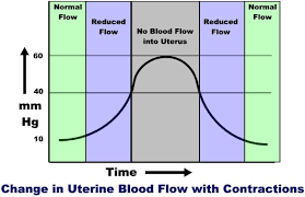 electronic fetal heart monitoring