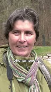 BESONDERES NATURSPEKTAKEL: Warum dieser See im Algäu lila leuchtet WELT  #shorts