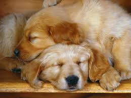 Find the best best friend wallpaper on wallpapertag. Best Friend Wallpapers Hd Pixelstalk Net