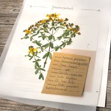 Synonyms for herbarium and translation of herbarium to 25 languages. Gestalte Dein Eigenes Herbarium Herbarium Vorlage Pflanzenblatter Vorlagen