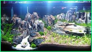 7 Jenis Gaya Aquascape Dari Berbagai Negara Ekor9 Com Akuarium Ikan Air Tawar Ikan Akuarium