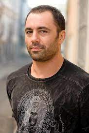 A description of tropes appearing in fear factor. Joe Rogan Net Worth From Fear Factor To Ufc Commentator