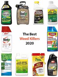 Spraying vinegar over your entire lawn is not the best way to control weeds. Does Vinegar Kill Weeds For Good And The Way Do I Properly Use It Daniellas Bunglow
