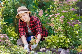 Im trend liegen deshalb seit einiger zeit schottergärten, in denen große flächen von steinen bedeckt sind. Gartenpflanzen Fur Den Heimischen Garten Heimhelden