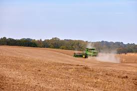 Image result for tbn:cRxpWML3C6TQFM::farm3.static.flickr.com/2382/2420623259_e3c8cd4fd8.jpg