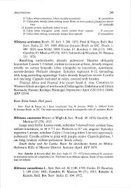 Image result for Phyllanthus ovalifolius