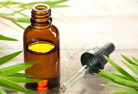 Using Tea Tree Oil During Pregnancy Health Benefits Precautions