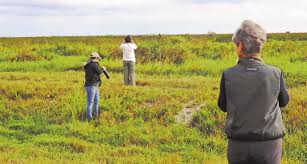 Image result for Marquese Gray 1929 Buick