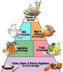 Diabetes Food Pyramid Anatomy System Human Body Anatomy
