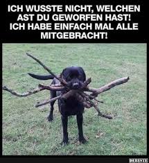 Ich Wusste Nicht Welchen Lustige Tierzitate Hund Witze Spruche Tiere