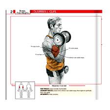 Jan 23, 2016 · memorizing gym equipment names and what they look like when starting your journey through fitness and putting together an exercise regiment can seem pretty daunting in the beginning. Gym Equipment Names With Pictures Descriptions