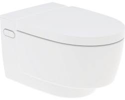 Dusch Wc Komplettanlage Geberit Aquaclean Mera Comfort Weiss 146 210 11 1 Bei Hornbach Kaufen