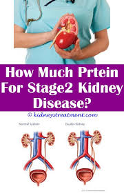 Kidney Disease Drinks Kidney Disease Recipes Kidney Disease Diet Kidney Disease