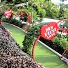 Lower hill station is the closest station you can use to get to penang hill which reaches an elevation of 2723 feet! Https Encrypted Tbn0 Gstatic Com Images Q Tbn And9gctds0dmchb9qcizpadjr2iukvhpflnr9fixmmmkniv9npaxevfi Usqp Cau
