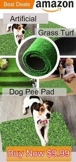 It takes care of your pet's toilet needs right inside the comfort of your home. 9 99 Pet Dogs Kwan Artificial Grass Turf Training Pad Replacement For Pet Potty Toilet Trainer Colormilky 9 99 Pet Dogs Kwan Artificial Grass Turf Tra