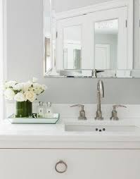 Tumbler soap/lotion dispenser toothbrush holder wastebasket soap dish tissue boutique bath jar bath accessory set vanity tray shower curtain hooks towel holder/tray vanity storage bin tank tray vanity mirror cosmetic organizer cup dispenser shower curtain white multi nickel/silver blue grey beige black brown ivory pink green bronze clear gold. 53 Bathroom Vanity Tray Ideas Bathroom Vanity Bathroom Vanity Tray Bathroom Decor