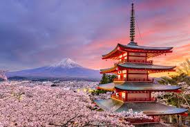 Mount Fuji with Chureito Pagoda and cherry blossoms in full bloom, iconic five-story pagoda framed by pink sakura trees with snow-capped Fuji in background