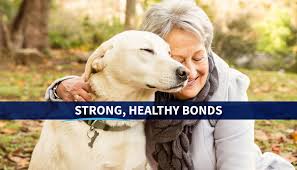 We have had the privilege of caring for the pets of our clients' children and grandchildren for over forty years. Shiloh Veterinary Hospital Pa Linkedin