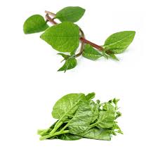 Image result for Basella