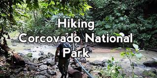 La station de garde forestier de san pedrillo est située à environ 30 minutes en bateau de la baie de drake. Hiking San Pedrillo And Sirena Station In Corcovado National Park