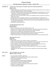 Bpo professionals supposed to operate back office outsourcing tasks which include many internal business functions like billing, purchasing. Process Executive Resume Samples Velvet Jobs