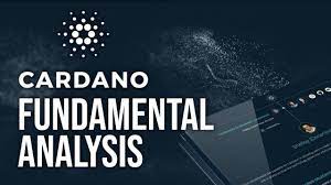 Cardano Ada Fundamental Analysis 2019 Youtube