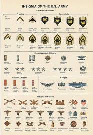Insignia Of The Us Army Guide Coolguides Army Ranks Military Ranks Military Insignia