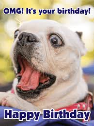 Image result for funny birthday