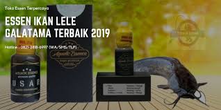 Essen Ikan Lele Galatama Terbaik 2019 Essen