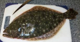 Will Delaware Change The 2018 Summer Flounder Size Limit