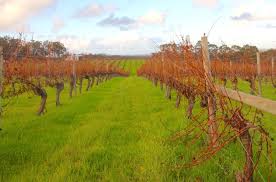 Margaret River Getaway 7-11 June