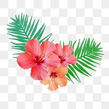 Birthday cards canvases digital crafts fabric paper crafts printing sublimation t shirt designs. Borda Linear De Pequena Palmeira Tropical Refrescante Verde Foto Clipart Palma Botanica Imagem Png E Psd Para Download Gratuito Flower Graphic Flower Clipart Hd Flowers