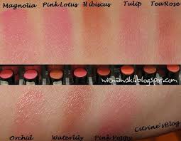 البلاشر الكريمي و نوع Stick Blush بالصوررررررر منتديات عروس Swatch Tints Pink Poppies