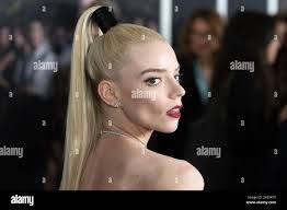 Taylor Pease's Instagram, Twitter & Facebook