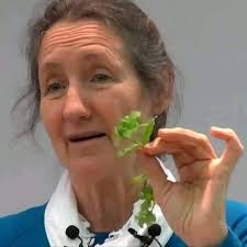 Cabbage and Ground Beef Recipe Sharing