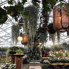 Pin On Garden Centre Nursery Flower Shop