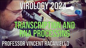 Virology Lectures 2024 #7: Transcription and RNA processing