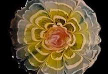 How to make realistic 3D flowers using resin?