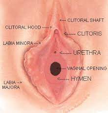 It has no known biological function and it does not, in any way. How To Know If Your Cherry Has Been Popped