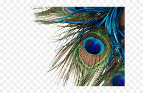 Check spelling or type a new query. Peacock Feather Desktop Wallpaper Hd Hd Png Download Vhv