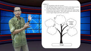 By isnaini_shaleh in satuan pendidikan mata pelajaran materi pokok kelas/semester alokasi waktu. Teks Laporan Hasil Observasi Materi Kelas Vii Smp Mts Youtube