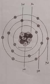 Atom screen build an atom simulation ( an atom ) 1 adding protons changes the identity of the atom adding one moves from right to left on the ions & their charges worksheet. Label The Parts Of An Atom1 2 3 4 5 Brainly Ph