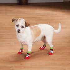 Christmas Dog Socks Set Of 2 Puppy Socks Dog Socks Miles Kimball Dog Socks Christmas Dog Dogs