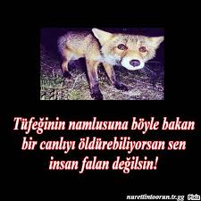 Tufeginin Namlusuna Boyle Bakan Bir Canliyi Oldurebiliyorsan Sen Insan Falan Degilsin Hayvan Sozleri Hayvan Mizahi Hayvan Haklari